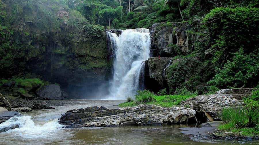 Ubud: Tegenungan Waterfall, Snorkeling, and Canyoning Tour - Who Will Enjoy This Tour Most